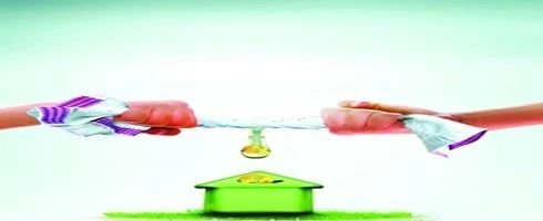 ed_1743477163695984.jpg 9.jpg